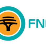 FNB Graduate Programme 2026: How to Apply