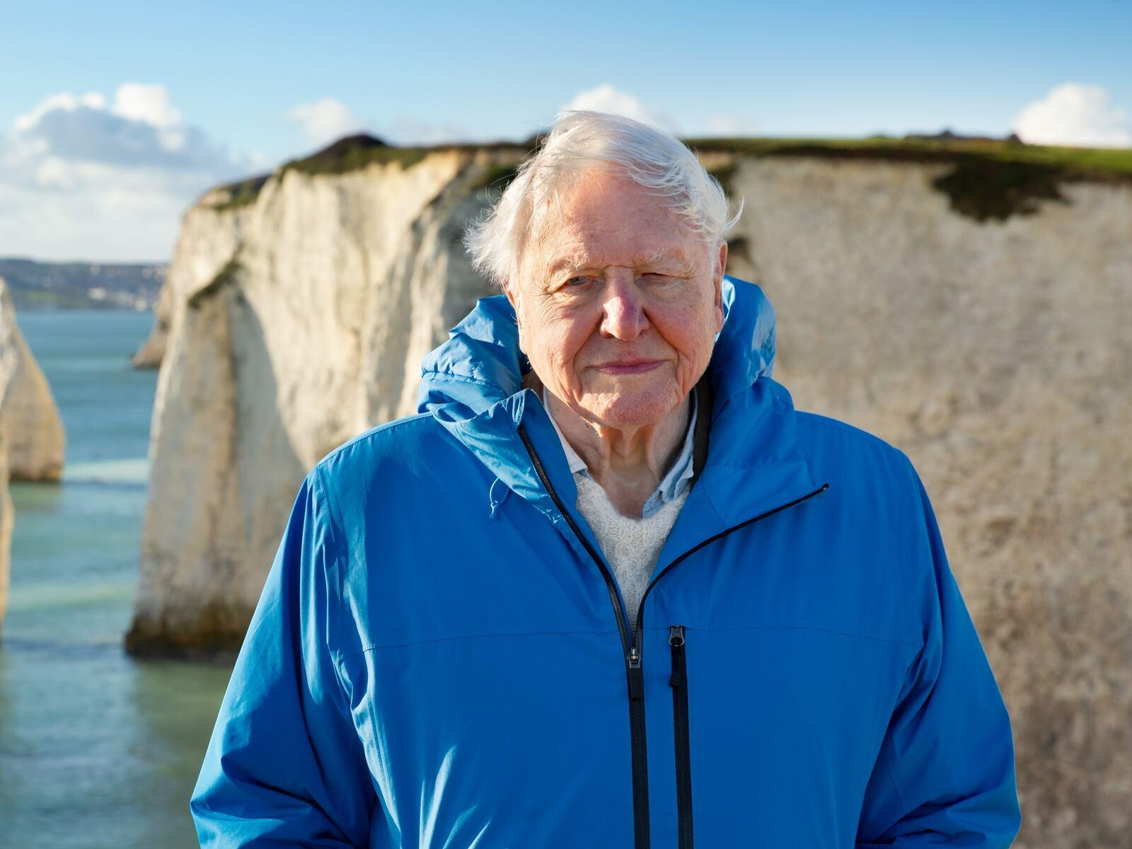 David Attenborough turns 100 as scientists, broadcasters and conservationists honor his unmatched legacy in natural history and climate awareness.