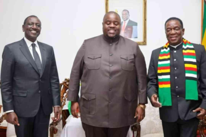 Ramaphosa and Wicknell Chivayo Meeting Sparks Controversy