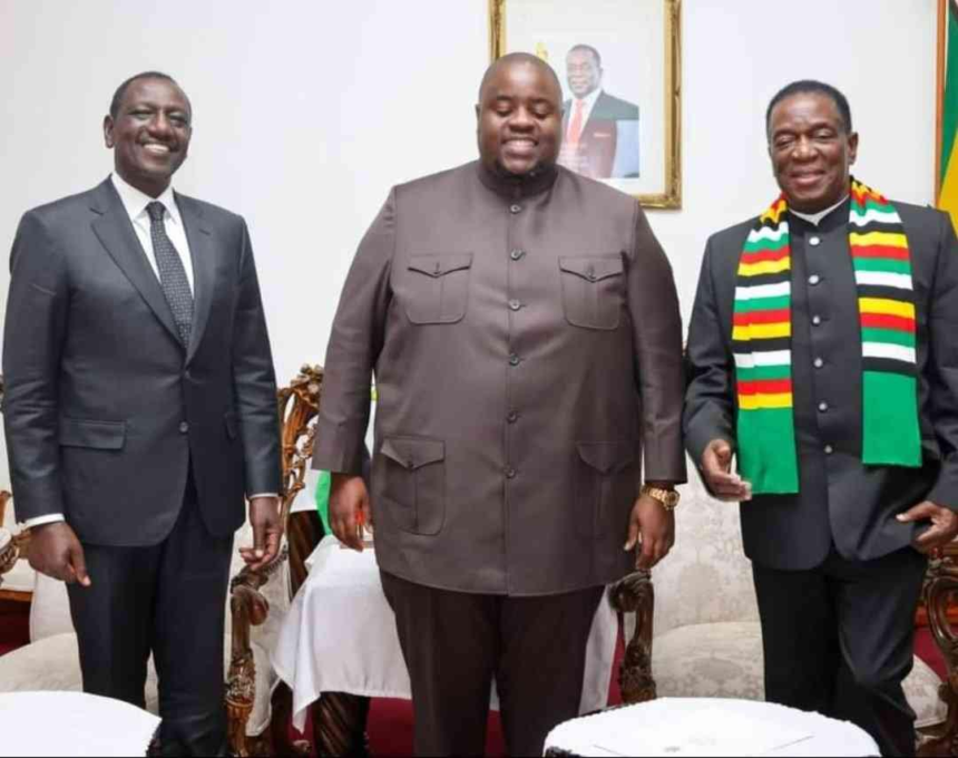 Ramaphosa and Wicknell Chivayo Meeting Sparks Controversy