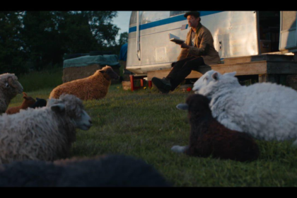 Discover The Sheep Detectives plot, cast, and themes in this detailed breakdown of the unique family mystery film.