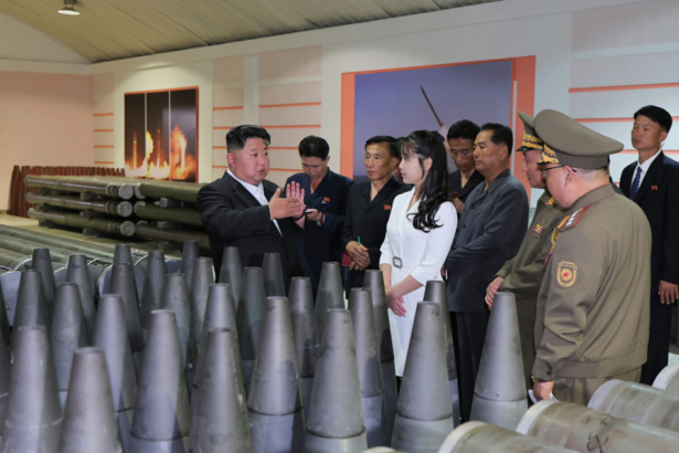 Learn how modern howitzers work and why North Korea’s new artillery systems are alarming South Korea and global security analysts.