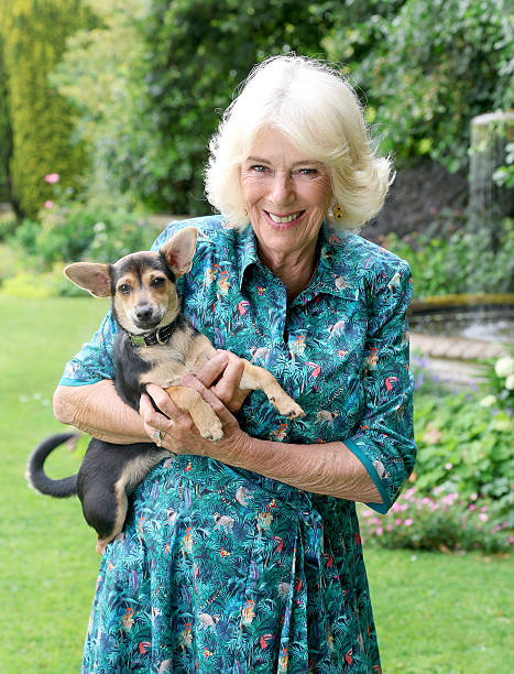 Explore Queen Camilla’s evolving role, from diplomacy to literacy advocacy, during her impactful US state visit with King Charles III.