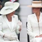 Discover the history and symbolism behind Queen Camilla’s diamond Britannia brooch worn during her New York City visit.