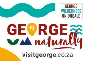 George Municipality Internships 2026: Finance Graduates
